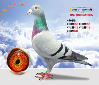 Ѫy(tng)ֲE32Ѫϵ  ɿ(j)560܊