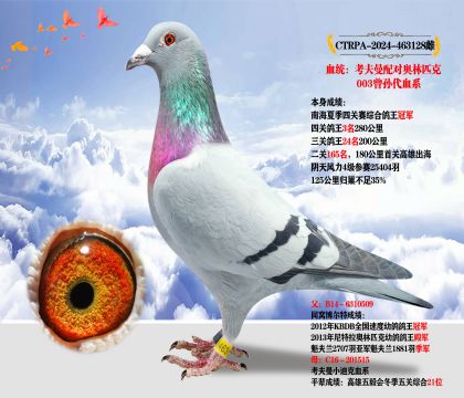 _I(y)衱䌦Wƥ003Ѫϵ