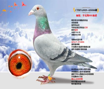 _ِ輯F(tun)˹695Ѫϵ