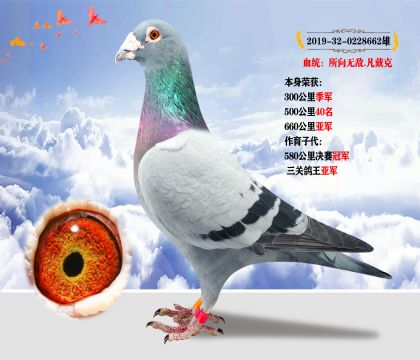 Ѫy(tng).o s@660܊