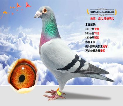 Ѫy(tng)w.Ǳ s@480܊