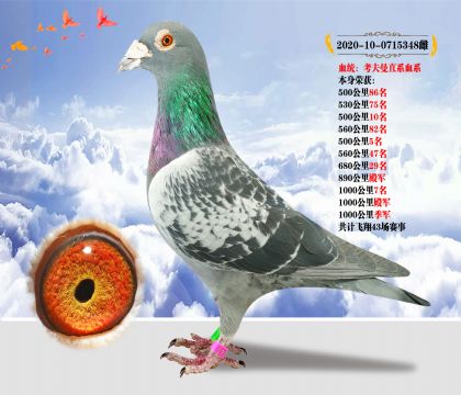 Ѫy(tng)ֱϵѪϵ s@1000＾܊