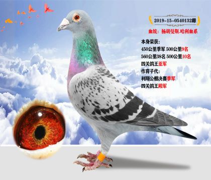 Ѫy(tng)˹.Ѫϵ @ãP(gun)܊