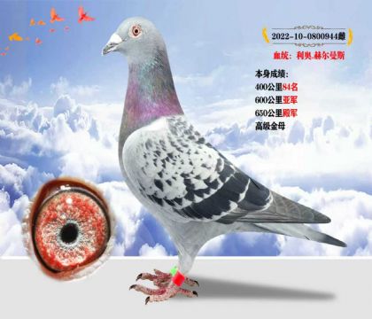 Ѫy(tng)W.ՠ˹  ɿ(j)650܊