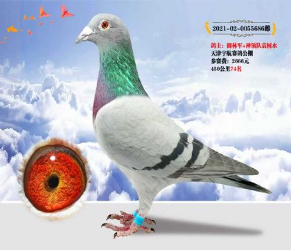 ܊I(lng)(du)xِ 45074