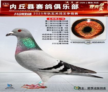 五關(guān)鴿王7名