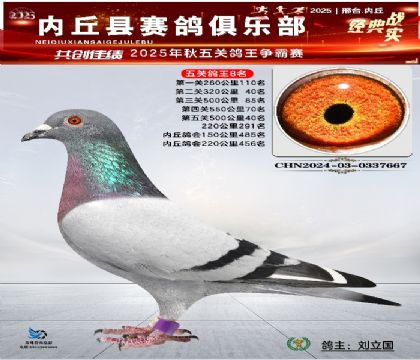 五關(guān)鴿王8名