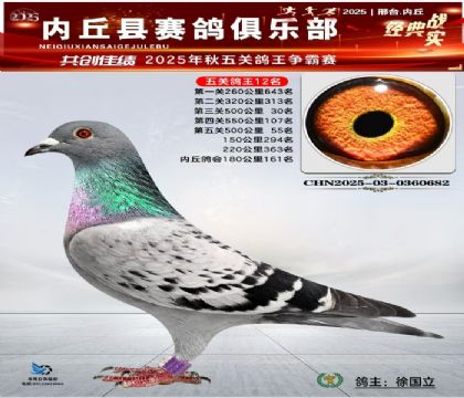 五關(guān)鴿王12名