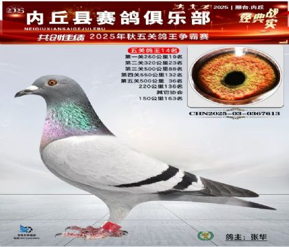 五關(guān)鴿王14名