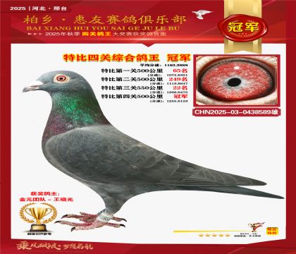 特比四關(guān)綜合:冠軍