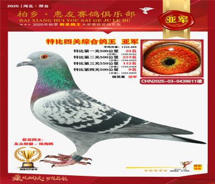 特比四關(guān)綜合:亞軍