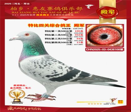 特比四關(guān)綜合:殿軍