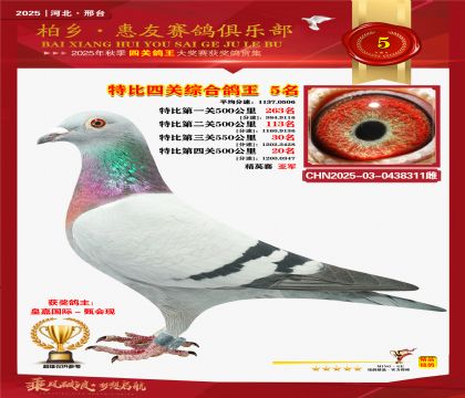 特比四關(guān)綜合:五名