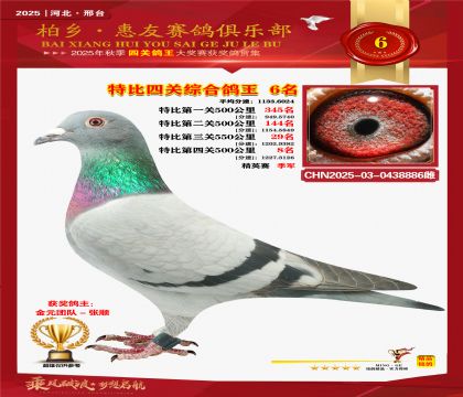 特比四關(guān)綜合:六名