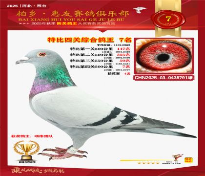 特比四關(guān)綜合:七名