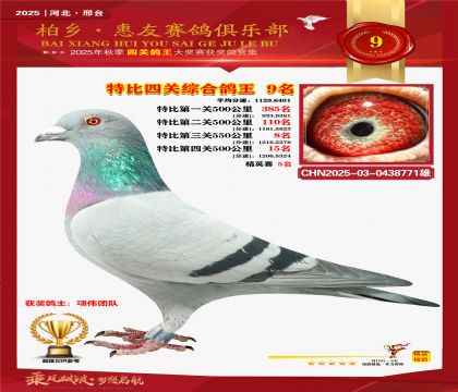 特比四關(guān)綜合:九名