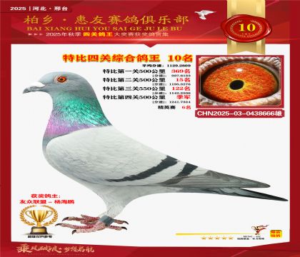 特比四關(guān)綜合:十名