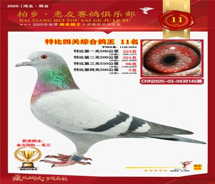 特比四關(guān)綜合:十一名