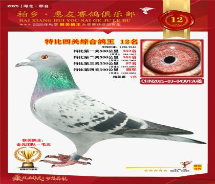 特比四關(guān)綜合:十二名