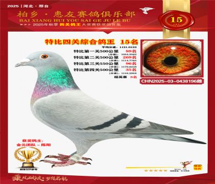 特比四關(guān)綜合:十五名