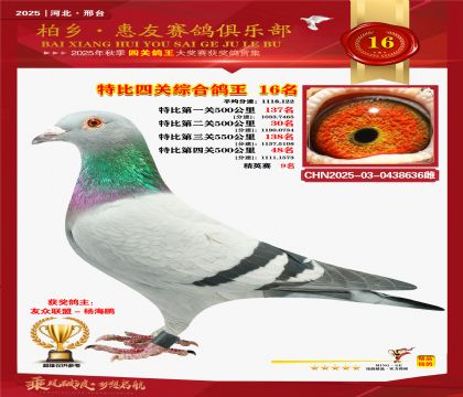 特比四關(guān)綜合:十六名