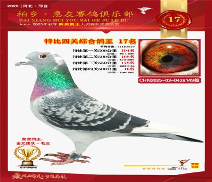 特比四關(guān)綜合:十七名