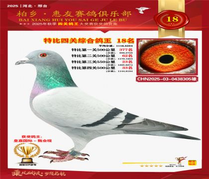 特比四關(guān)綜合:十八名