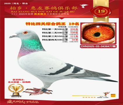 特比四關(guān)綜合:十九名