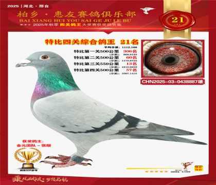 特比四關(guān)綜合:二十一名