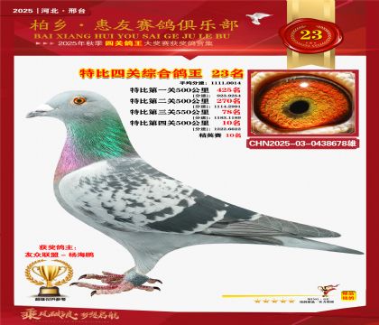 特比四關(guān)綜合:二十三名