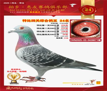 特比四關(guān)綜合:二十四名