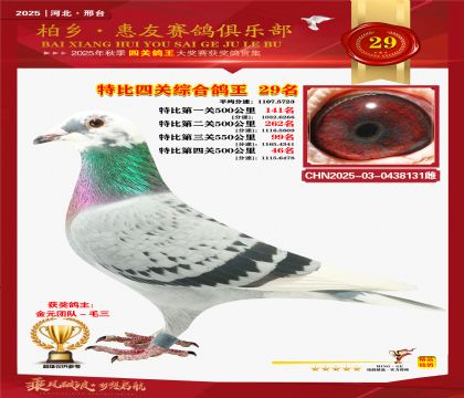 特比四關(guān)綜合:二十九名