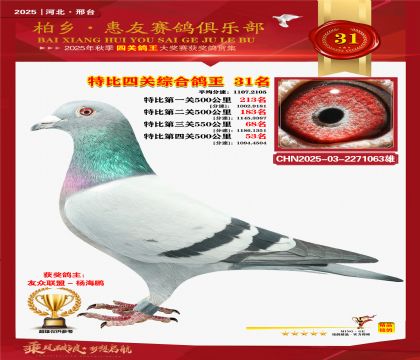 特比四關(guān)綜合:三十一名