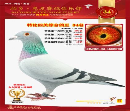 特比四關(guān)綜合:三十四名