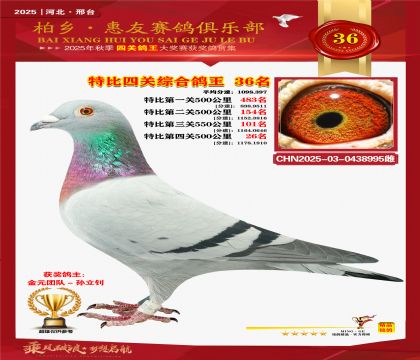 特比四關(guān)綜合:三十六名