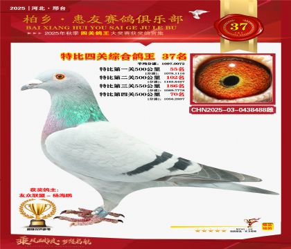 特比四關(guān)綜合:三十七名