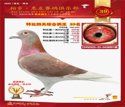 特比四關(guān)綜合:三十九名