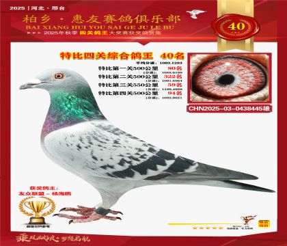 特比四關(guān)綜合:四十名