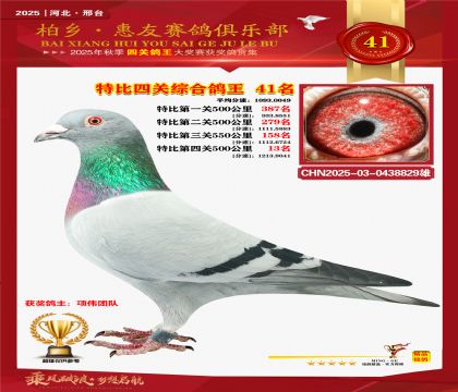 特比四關(guān)綜合:四十一名