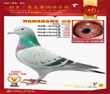 特比四關(guān)綜合:四十二名