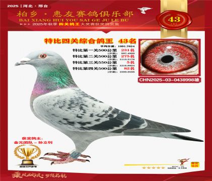 特比四關(guān)綜合:四十三名