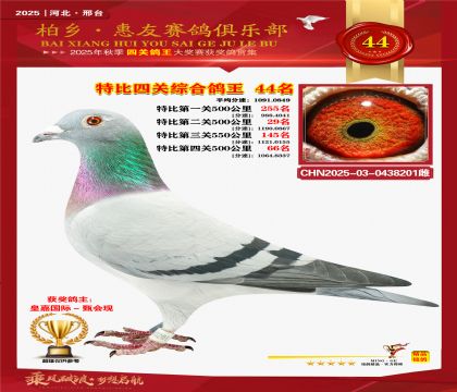 特比四關(guān)綜合:四十四名