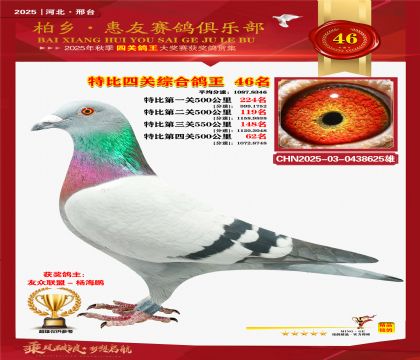 特比四關(guān)綜合:四十六名