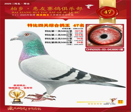 特比四關(guān)綜合:四十七名