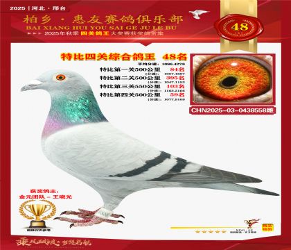 特比四關(guān)綜合:四十八名