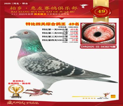 特比四關(guān)綜合:四十九名