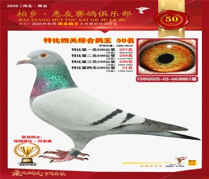 特比四關(guān)綜合:五十名