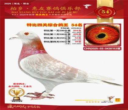 特比四關(guān)綜合:五十四名