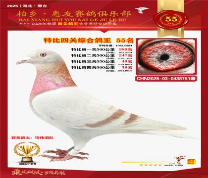 特比四關(guān)綜合:五十五名