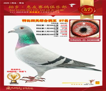 特比四關(guān)綜合:五十七名